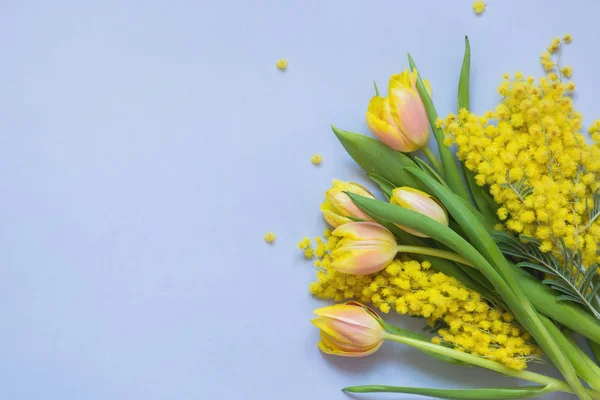 Wiosną granica kwiatowy żółtych tulipanów, mimosa na niebiesko. Widok z góry z miejsca kopii. — Zdjęcie stockowe