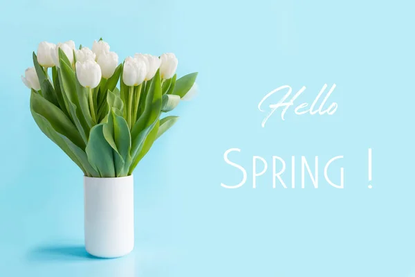 Bouquet of white tulip in vase on blue. Text - Hello Spring. — Stock Photo, Image