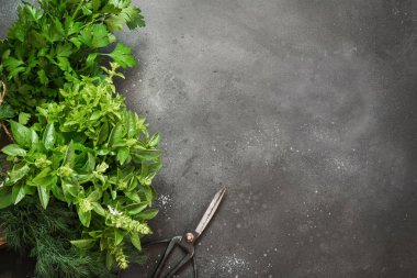 Taze otlar, baharat, maydanoz ahşap kutusunda siyah vintage tablo.