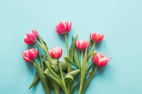 Buquê de tulipa vermelha em azul. Vista superior com espaço de cópia . — Fotografia de Stock