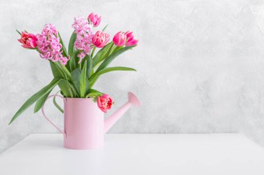 Pembe Lale ile dekoratif sulama olabilir. Bahçe.