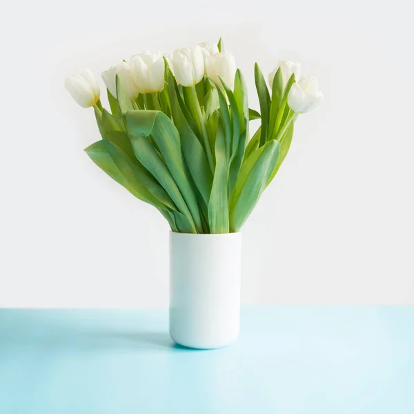 Ramo de tulipán blanco en jarrón sobre azul. Día de las madres . — Foto de Stock