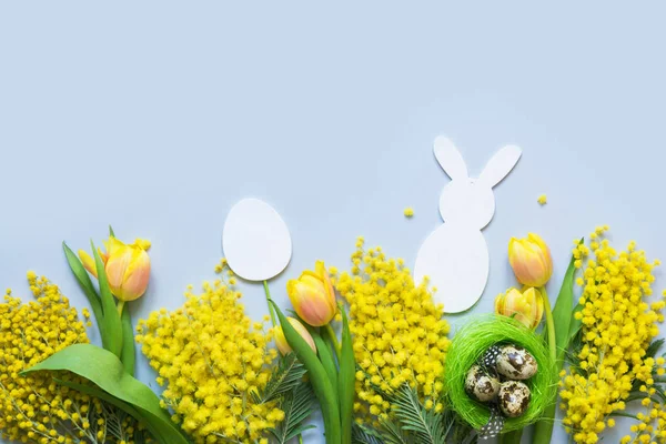 Marco de Pascua y primavera de tulipanes amarillos, mimosa sobre azul. Vista superior con espacio de copia . — Foto de Stock
