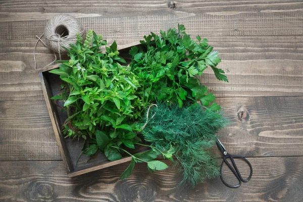Friss fűszernövények, fűszer, petrezselyem, doboz. — Stock Fotó