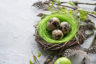 Bıldırcın yumurta yuva ve bahar willow vintage tablo içinde.