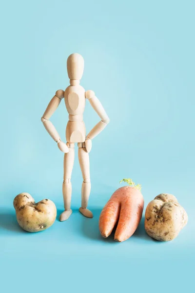 Concept of organic gardening and cultivation of natural vegetables. Wooden doll, potatoes and carrots.