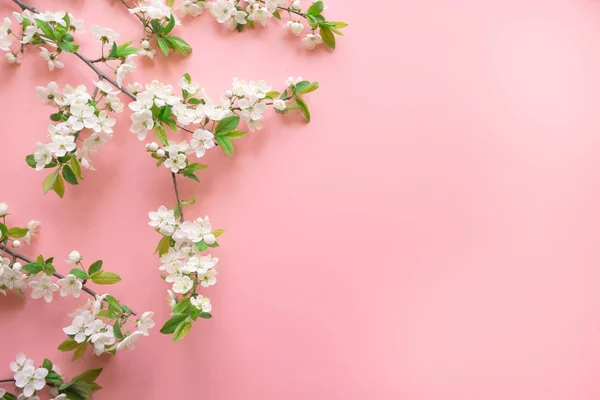Diseño creativo de primavera, ramas de flores blancas de primavera en rosa pastel. Patrón floral. Banner o plantilla. Vista desde arriba, plano . — Foto de Stock