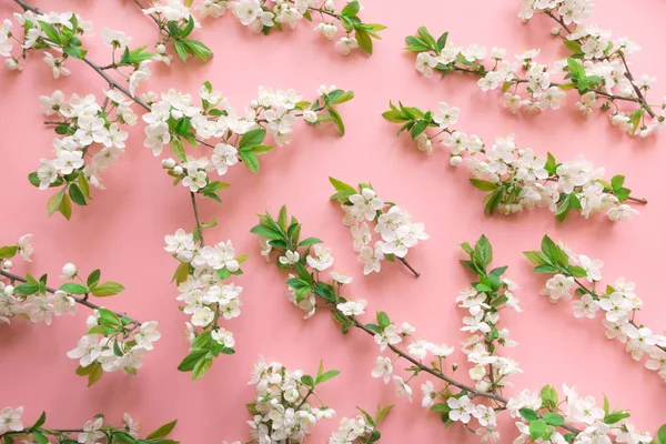 Diseño creativo de primavera, ramas de flores blancas de primavera en rosa pastel. Patrón floral. Vista desde arriba, plano . — Foto de Stock