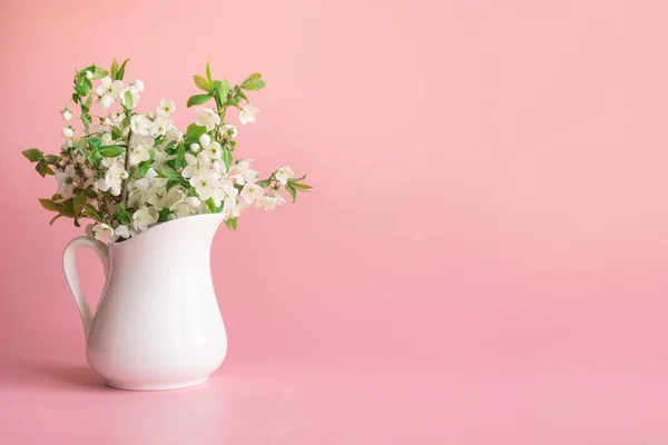 Buquê de ramo de flor de cereja em vaso em pastel rosa pálido . — Fotografia de Stock