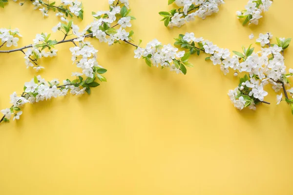 La frontera de los frutos blancos primaverales florecen por las ramas sobre amarillo. Patrón floral. Banner o plantilla. Vista desde arriba, plano . — Foto de Stock