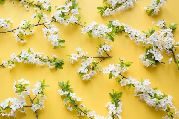 Diseño creativo de primavera, ramas de flores blancas de primavera en amarillo punzante. Patrón floral. Puesta plana . — Foto de Stock