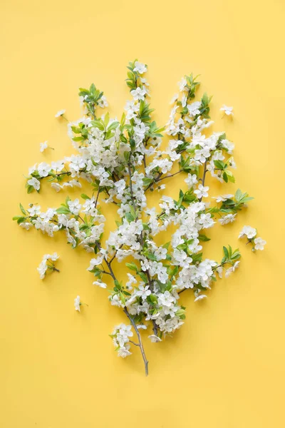 Ramo de primavera creativa de ramas de flor blanca en amarillo punzante. Patrón floral. Puesta plana . — Foto de Stock