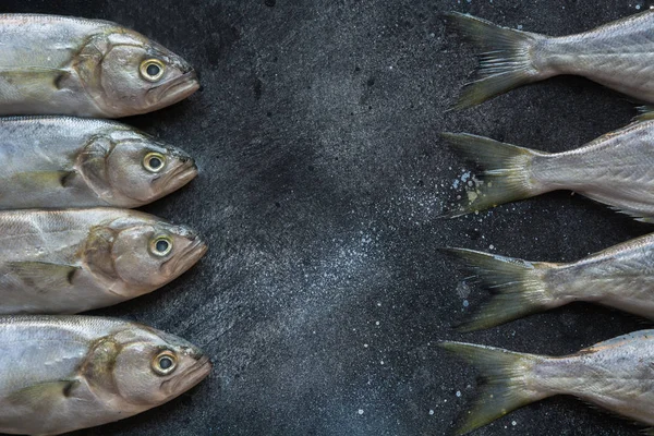 Black sea bluefish on black. Fish pattern with space for text. View from above.