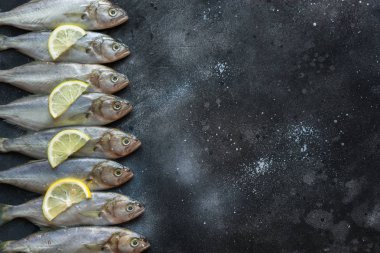 Siyah üzerine karadeniz lüferi. Metin için alan ile balık deseni. Yukarıdan görüntüle.