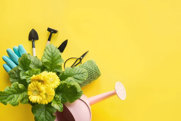 Fondo de jardinería con gerberas amarillas, peajes y flores de jardín planta sobre fondo amarillo . — Foto de Stock