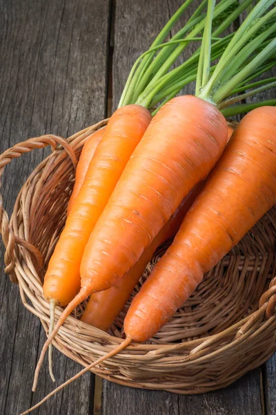 Zanahorias orgánicas frescas con tapas verdes, primer plano. Cosecha . — Foto de Stock