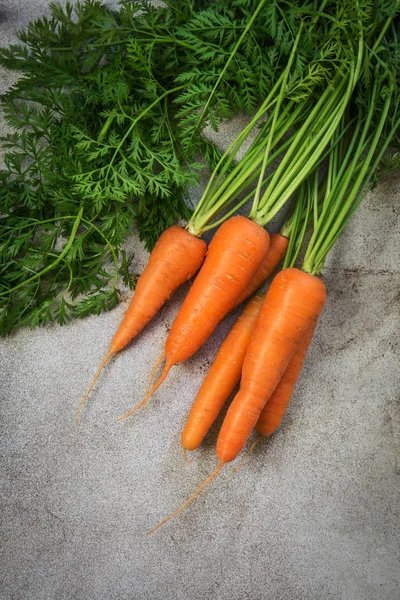 Zanahorias orgánicas frescas con tapas verdes en mesa rústica . — Foto de Stock