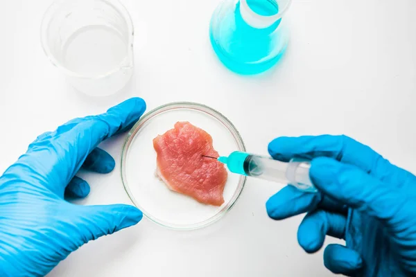 Laboratory studies of meat in Petri dish. Chemical experiment.