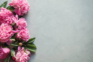 Gri beton üzerinde çerçeve olarak güzel pembe şakayık çiçekler. Metin için boşluk kopyalayın. Düz yatma.