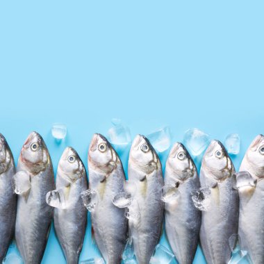 Mavi buz küpü ile taze lüfer. Metin için alan ile balık deseni. Yukarıdan görüntüle.