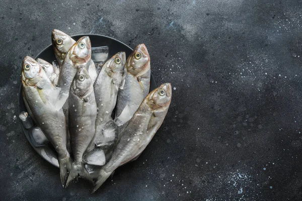 Siyah çanak buz küpü ile lüfer. Metin için alan içeren balık deseni.