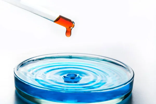 Pipetta rossa che getta liquido nella capsula di Petri con liquido blu. Controllare l'acqua per la pulizia. Concetto esperimenti chimici ed educazione . — Foto Stock