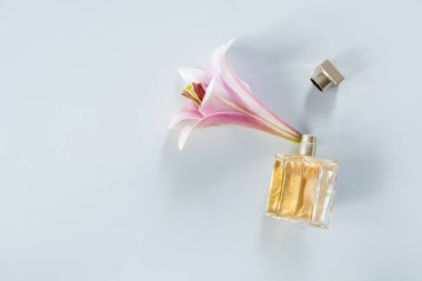 Mavi arka plan üzerinde taze zambak çiçekleri ile parfüm Lüks şişe.