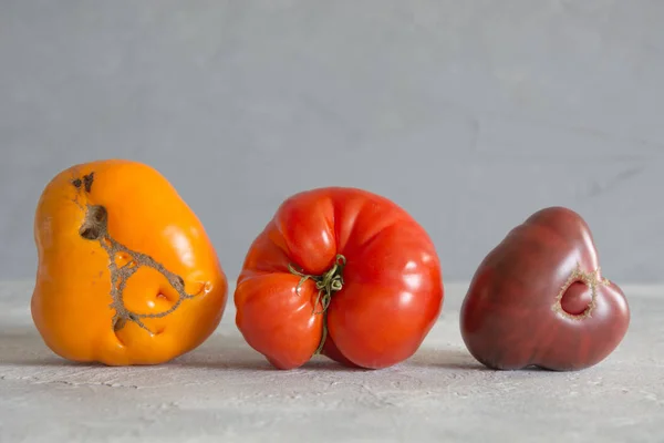 Tomates de colores orgánicos feos. Concepto verduras ecológicas . —  Fotos de Stock