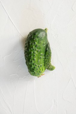 Çirkin bir salatalık. Konsept organik sebzeler. Yakın çekim.