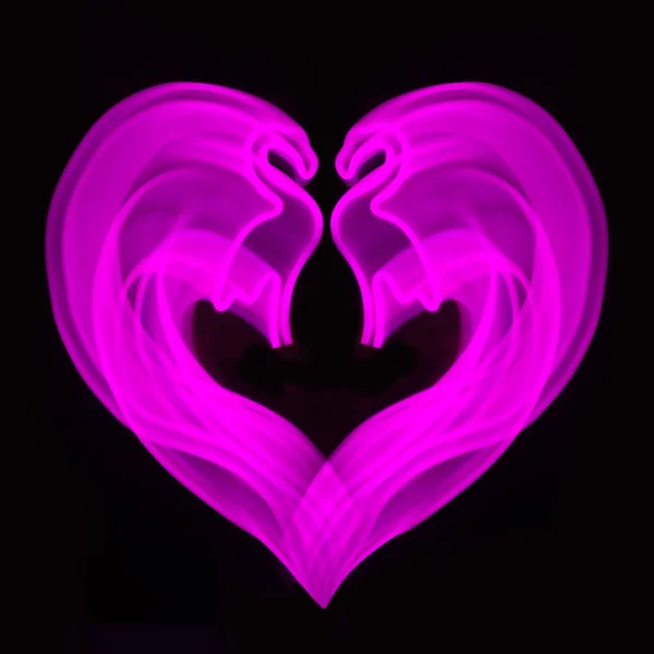 Неоновый розовый фламинго в форме сердца на черном. Размытый абстрактный фон . — стоковое фото
