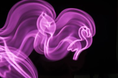 Siyah üzerinde bulanık soyut arka plan olarak hareket Neon pembe flamingo Led lamba.