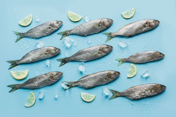 Pescado azul con limón, sal marina, limón sobre azul pastel. Patrón de peces con espacio para texto. Vista desde arriba. Puesta plana . — Foto de Stock