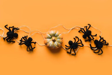 Turuncu arka planda siyah örümcekler ve kabak ile Halloween süslemeleri. Düz döşeme, üst görünüm