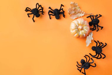 Turuncu arka planda siyah örümcekler ve kabak ile Halloween süslemeleri. Düz döşeme, üst görünüm, kopyalama alanı.