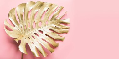 Altın tropikal palmiye yaprağı Monstera lüks pastel pembe. Tasarım için soyut desen.