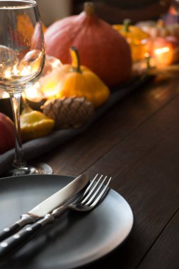 Balkabakları, sonbahar hasadı, elmalar, koniler, kuru akçaağaç yaprakları. Boşluğu kopyala. Şükran Günü süslemeleri. Kapatın. Dikey biçim.