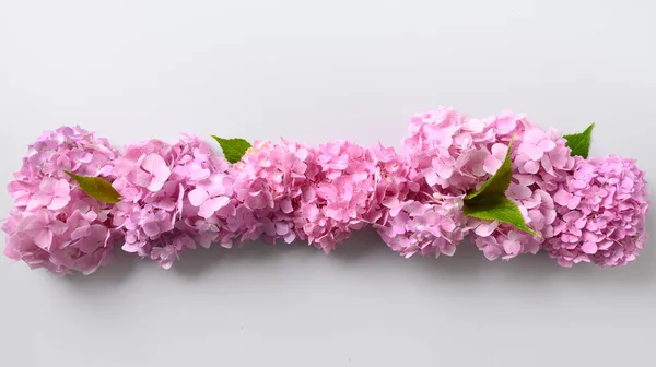 Banner Flores Hortensia Rosa Sobre Fondo Gris Tarjeta Felicitación Fondo —  Fotos de Stock