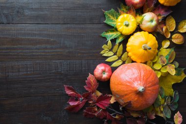Sonbahar hasadı, balkabağı ve ahşap tahtada renkli akçaağaç yaprakları. Şükran Günü. Metin için boşluk