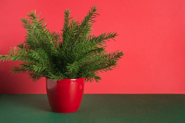 Kırmızı ve yeşil arka planda saksıda alternatif yaratıcı Noel ağacı. Kopya alanı olan Xmas tebrik kartı. Mutlu yıllar..