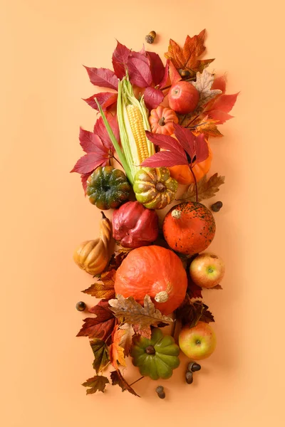 Вертикальный состав осеннего урожая, тыквы, кукурузные початки, красочные листья. День Благодарения и Хэллоуин. Вид сверху. — стоковое фото