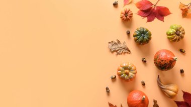 Sonbahar hasadı, balkabakları, mısır koçanı, turuncu arka planda renkli yapraklar ve yazı için yer. Sonbahar, Şükran Günü 'nün modası geçti. Yukarıdan görüntüle.