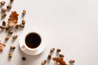 Meşe yapraklı meşe ağacı kahvesi. Yukarıdan bak. Metin için boşluk.