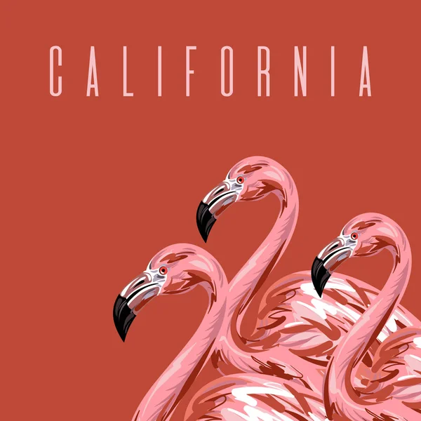 California Vektor Színes Plakát Kézzel Rajzolt Ábrán Flamingo Elszigetelt Sablon — Stock Vector