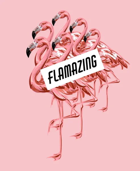 Flamazing Wektor Kolorowy Plakat Ilustracja Flamingo Białym Tle Szablon Dla — Wektor stockowy