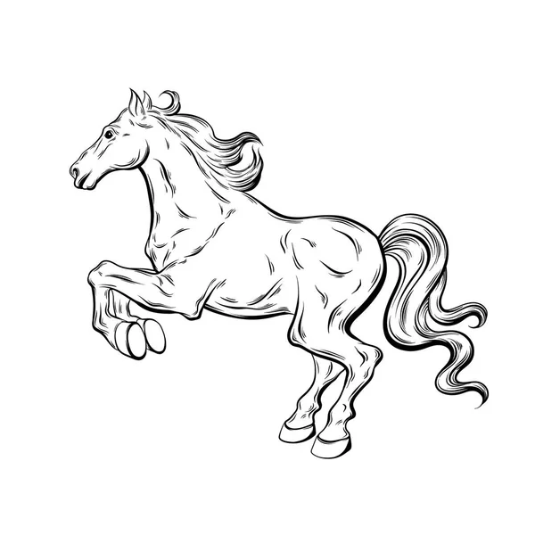 Vektor Handgezeichnete Illustration Des Ausdrucksstarken Pferdes Isoliert Tätowierungen Vorlage Für — Stockvektor