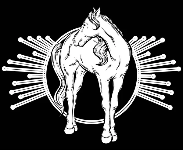 Vector Mão Desenhada Ilustração Cavalo Isolado Obra Arte Tatto Modelo — Vetor de Stock