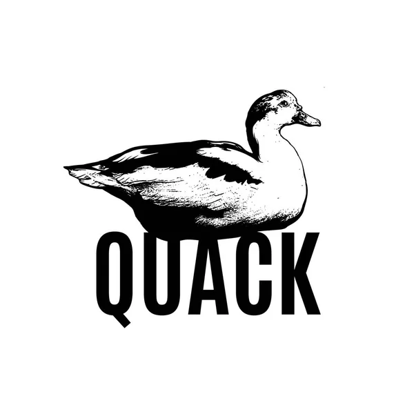 Quack Cartaz Vetorial Com Ilustração Desenhada Mão Pato Isolado Modelo — Vetor de Stock