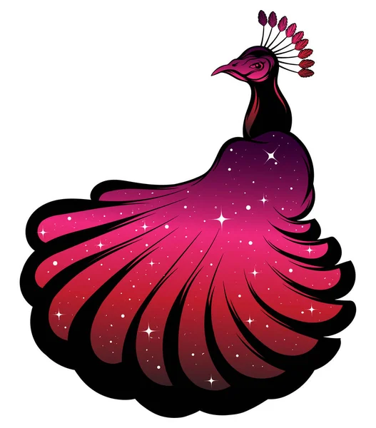Vectorillustratie Hand Getrokken Van Peacock Met Sterren Geïsoleerd Creatieve Tattoo — Stockvector