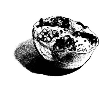 Vektör elle çizilmiş illüstrasyon izole Granat. Şablon için kart, poster, afiş, t-shirt, pin, rozet, yama için yazdırmak.