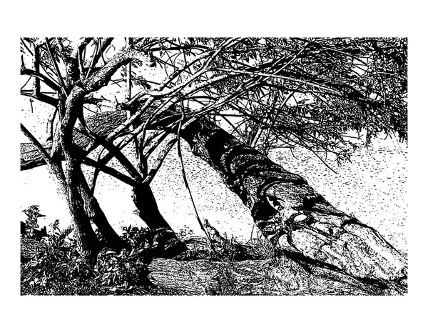 Vektor Handgezeichnete Darstellung Der Landschaft Mit Bäumen Realistischem Stil Vorlage — Stockvektor